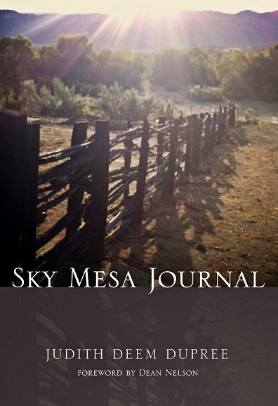 Sky Mesa Journal - book author Judith